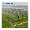 Commercial Plastic Film Tunnel Greenhouse for strawberry
